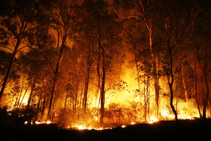 stock-bushfire-burning-night